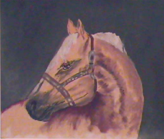 Caballo blanco Oil Card Animals