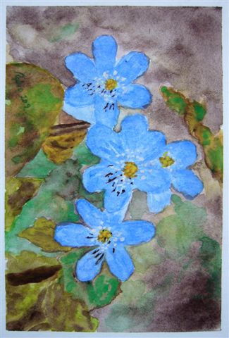 Serie flores 2