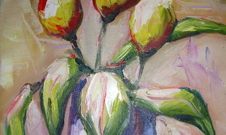 Flores
