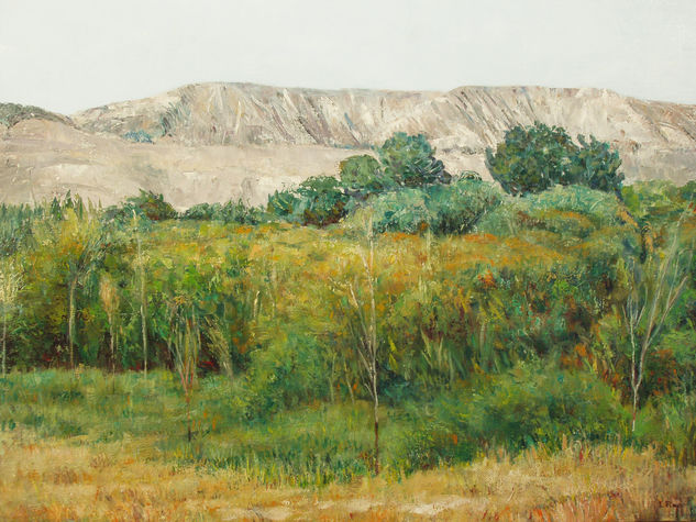 Cercanías de Paracuellos VII, Madrid. Oil Canvas Landscaping