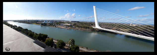 alamillo desde la azotea 