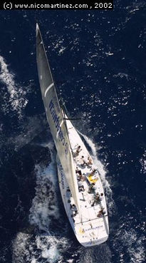 2002 - VIII Regata...