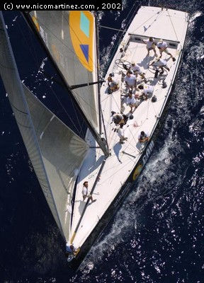 2002 - VIII Regata...