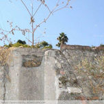 Fotografía thumbnail 2