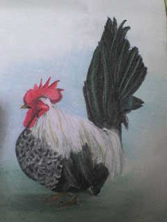 GALLO