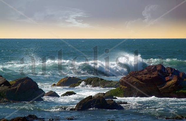 Olas