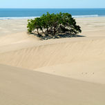Paisajes thumbnail 2