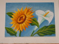de girasoles y alcatraces