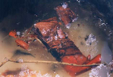 De Rerum Natura