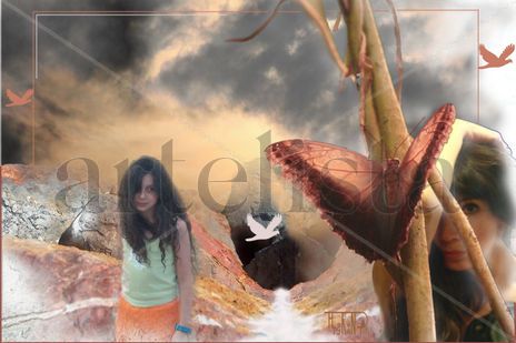 Papillon rouge2
