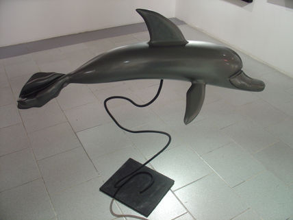 Delfin en Maniobras