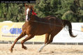 2003 -  2º Cpto. de Mallorca de Caballos de Pura Raza - 5