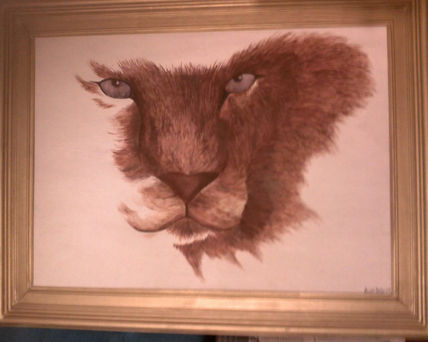 Ojos felinos