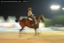 2003 -  2º Cpto. de...