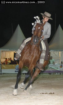2003 -  2º Cpto. de...