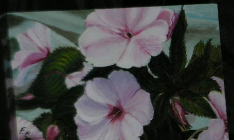 coleccion roble
