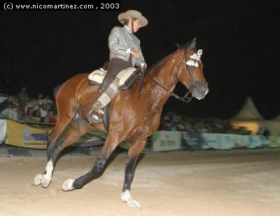 2003 -  2º Cpto. de Mallorca de Caballos de Pura Raza - 14