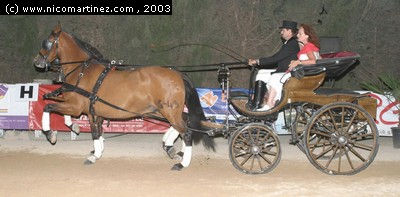 2003 -  2º Cpto. de Mallorca de Caballos de Pura Raza - 15
