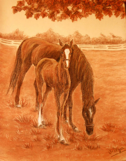 Caballos cabalos