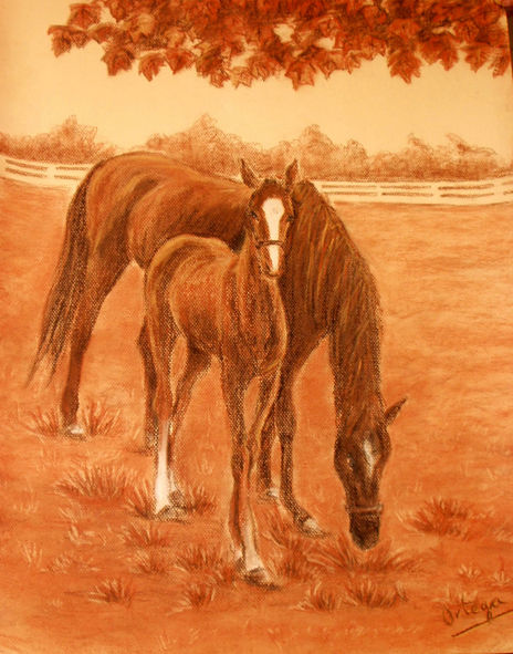 Caballos cabalos