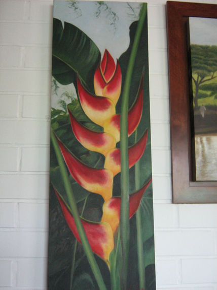 Heliconia