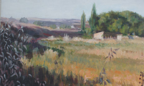 Paisajes