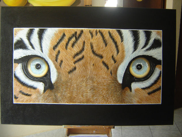 la mirada del tigre Oil Canvas Animals