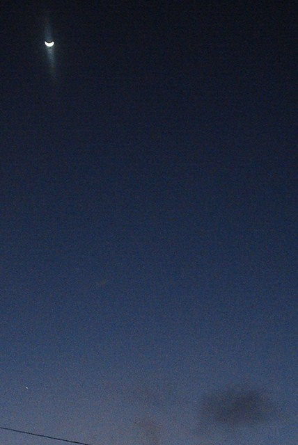 Noche con luna