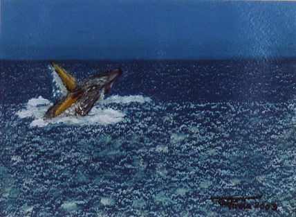 Baleia Ferida...