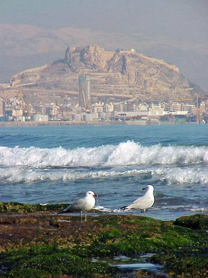 Castillo Santa...