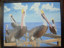 Pelicanos