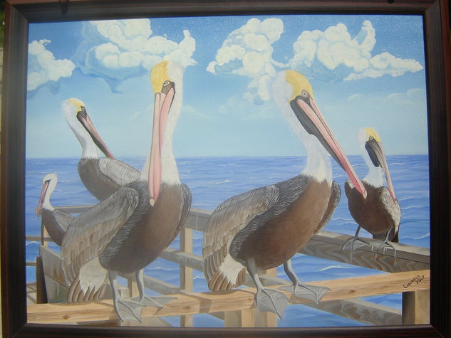 pelicanos 