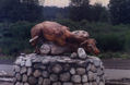 la caza