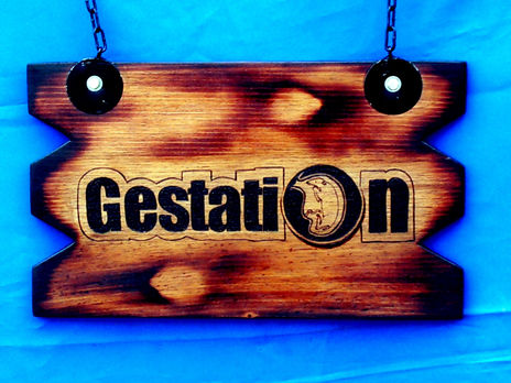 Gestation