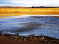 Laguna  salada de Pétrola 4. Albacete. España