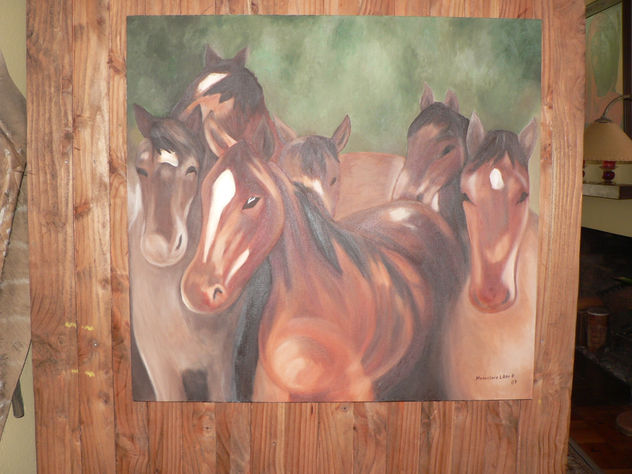 caballos salvajes