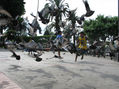 movimiento