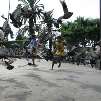 obra