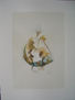 Serie tintas - nº4