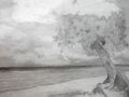 paisaje del mar