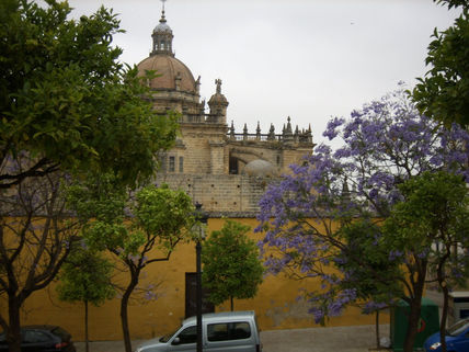 Catedral