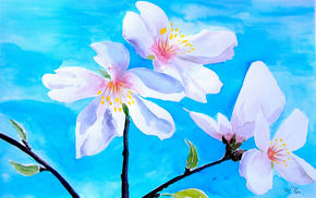 Almendros en flores