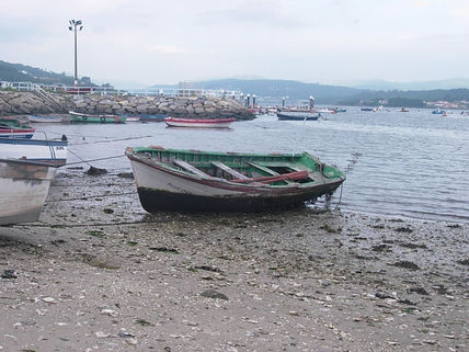 Bote varado
