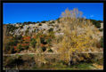 Colores de un otoño mediterráneo