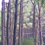 fotografias-arte digital thumbnail 1
