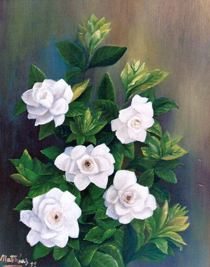 Jazmines Oil Canvas Floral Painting