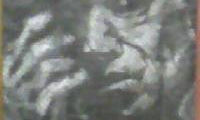 Dibujo
