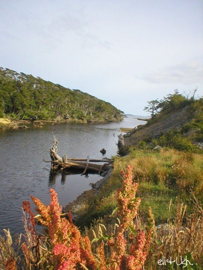 Llegando al Mar 