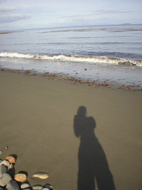 Mi sombra en la última playa