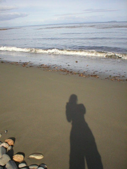 Mi sombra en la última playa 